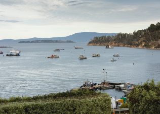 Huon Salmon & Ocean Trout – Flesh Testing Results