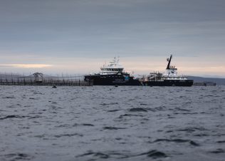 Norfolk Bay stakeholder updates & media release