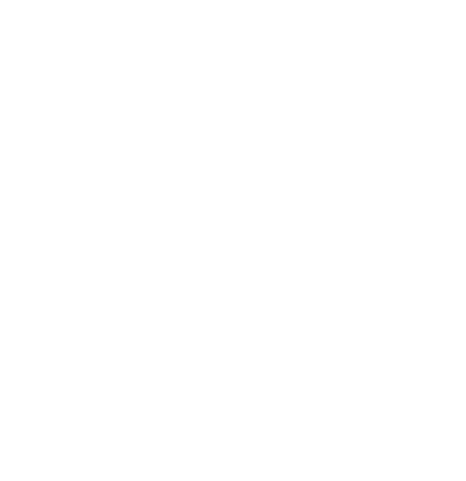 See Our Eggs And Where It All Begins